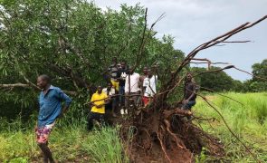 Subiu para 70 número de mortos e 600 feridos pelo ciclone Chido em Moçambique