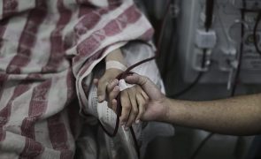 Médio Oriente: Hospital no norte de Gaza denuncia ataques 