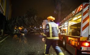 Ilhas açorianas das Flores e Corvo continuam sob aviso amarelo devido à chuva