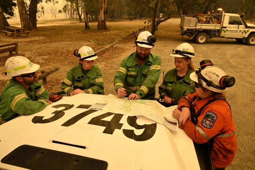 Incêndios florestais na Austrália consumiram área equivalente a Singapura