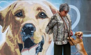 Retalho de produtos para animais em expansão no mercado nacional