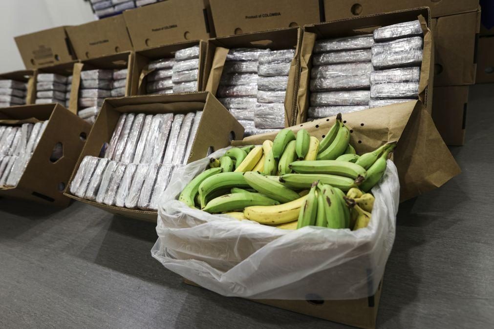 PJ apreende 3,5 toneladas de cocaína escondidas em paletes de bananas