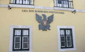 Liga quer inquérito a acidente com bombeiros feito por comissão independente