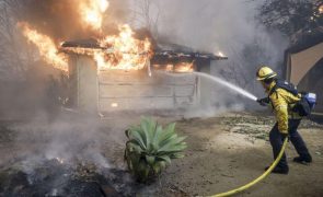 Trump culpa governador da Califórnia por fogos de Los Angeles