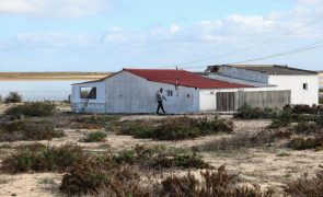 Moradores do extremo nascente da Praia de Faro não querem abandonar as casas