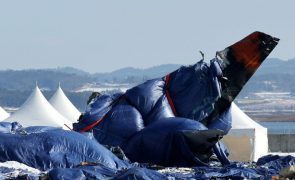 Caixas negras não registaram minutos antes de acidente aéreo na Coreia do Sul