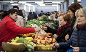 Nutricionistas vão apresentar ao Governo proposta para isentar alimentos essenciais do IVA