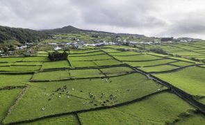 Sismo de 3,4 na escala de Richter registado na ilha açoriana da Terceira