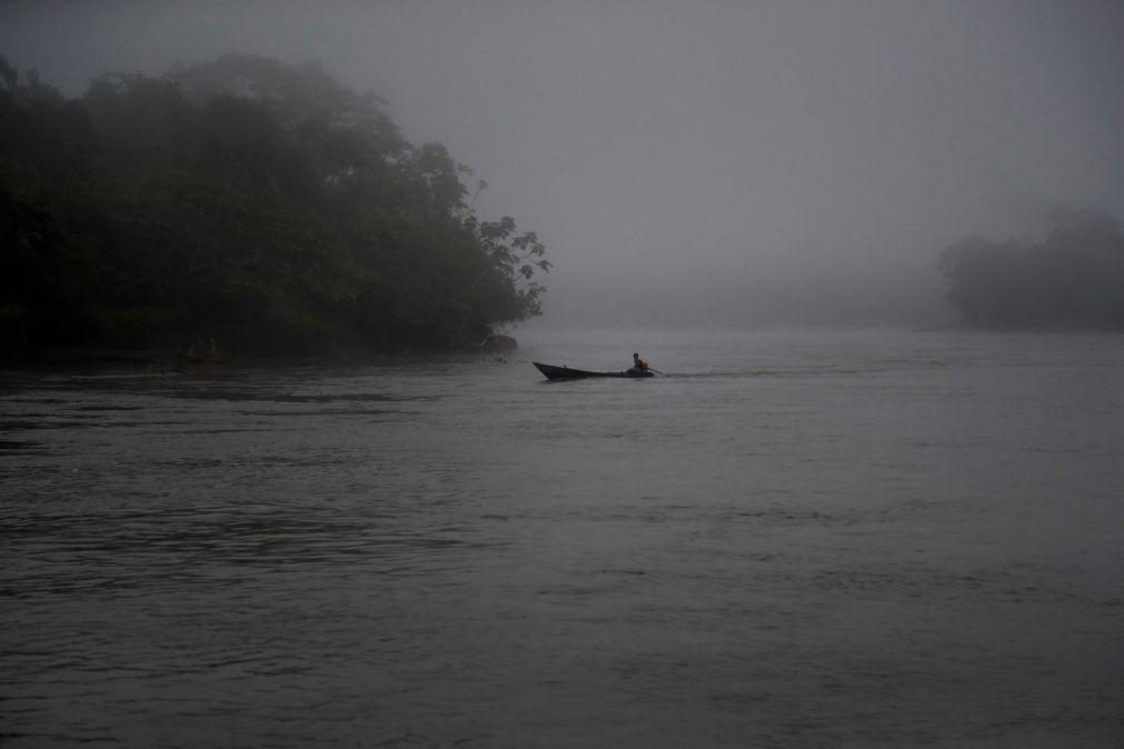 Na Amazónia quanto maior a variedade de árvores maior a variedade de peixes