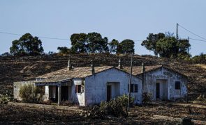 Casas bem protegidas podem ser locais seguros face a fogos florestais