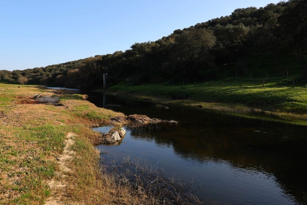 Tribunal anula Declaração de Impacte Ambiental da Barragem do Pisão no Alentejo