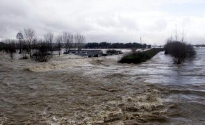 Governo alerta para a possibilidade de inundações no Tejo e Mondego