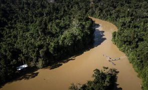 Greenpeace diz que mineração ilegal avança no maior território indígena do Brasil