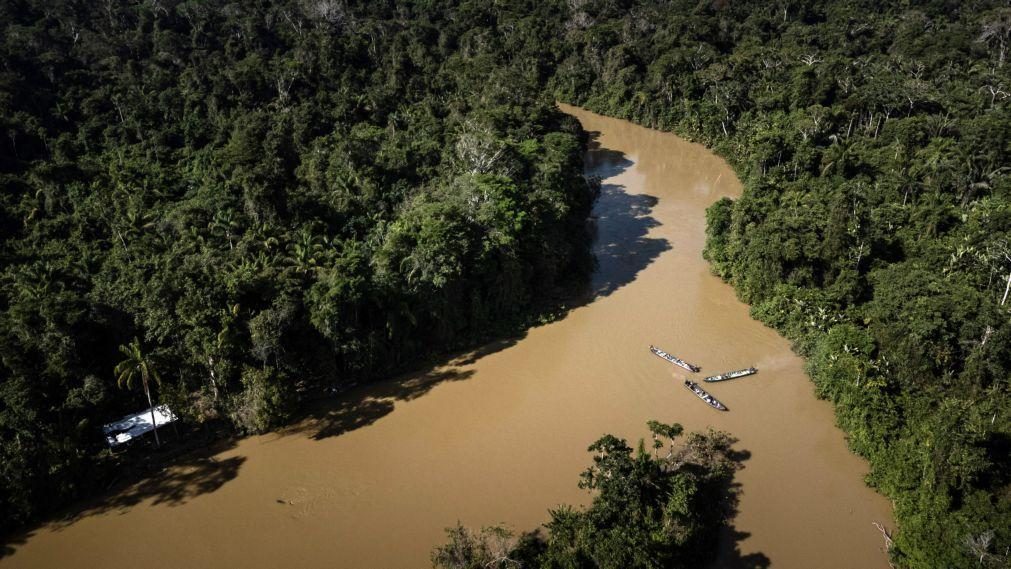 Greenpeace diz que mineração ilegal avança no maior território indígena do Brasil