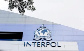 Interpol detém 45 suspeitos de rede de tráfico de droga na África Ocidental