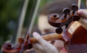 Música clássica pode acalmar a frequência cardíaca do feto