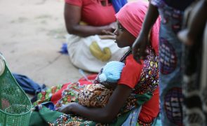 Cerca de sete mil famílias afetadas por crise alimentar no sul de Moçambique