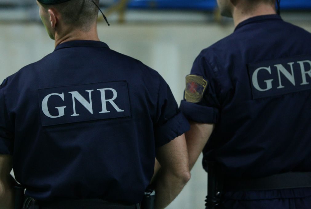 GNR detém quatro por furtos e tráfico de droga em Alcobaça, Cadaval e Vila Real