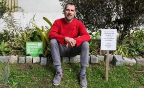 Jardins de Plantas Doadas devolvem beleza a canteiros vazios de Lisboa