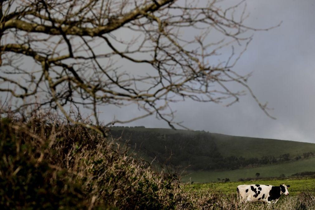 Turismo rural dos Açores com crescimento em dormidas e número de camas em 2024