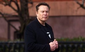 Elon Musk é apenas consultor de Trump, segundo funcionário da Casa Branca