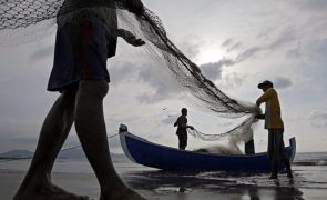 Acordo de pescas UE/São Tomé ainda tem 