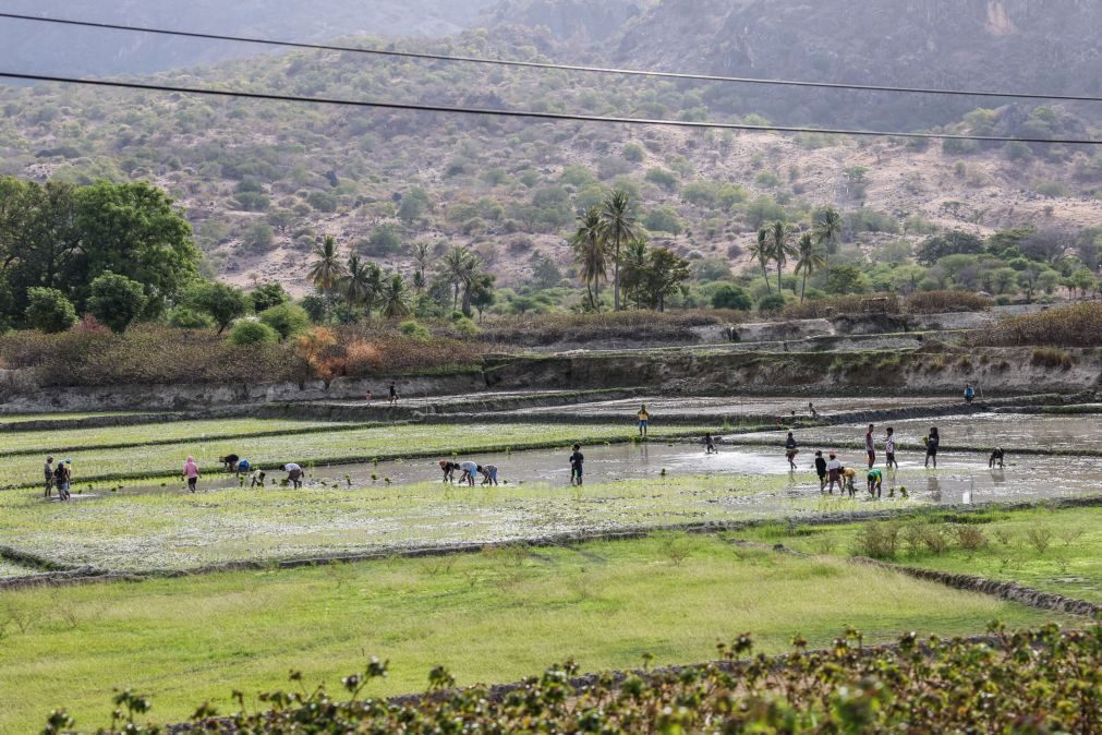 Timor-Leste e Nova Zelândia assinam acordo de mobilidade laboral em abril