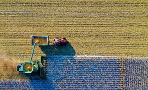 Conheça as maiores ameaças à biodiversidade na Terra