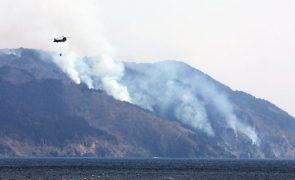 Piores incêndios desde 1992 no Japão obrigam à retirada de duas mil pessoas