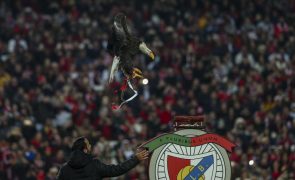 Limite de mandatos e remunerações à direção marcam 'novos' estatutos do Benfica