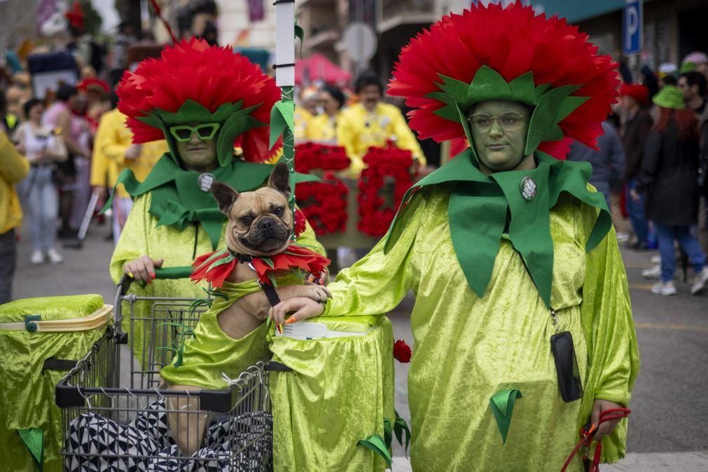 Madeira, Loulé e Torres Vedras foram os Carnavais do país que mais faturaram