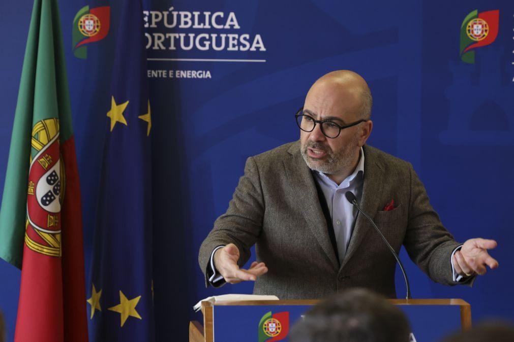 Pinto Luz de