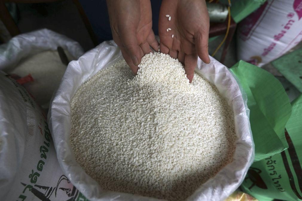 Arroz importado por Moçambique bate recorde de 400 ME em 2024