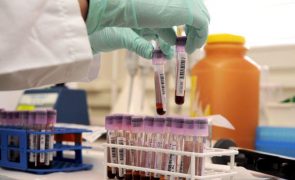 Cientistas criam teste sanguíneo que permite detetar precocemente doença de Parkinson