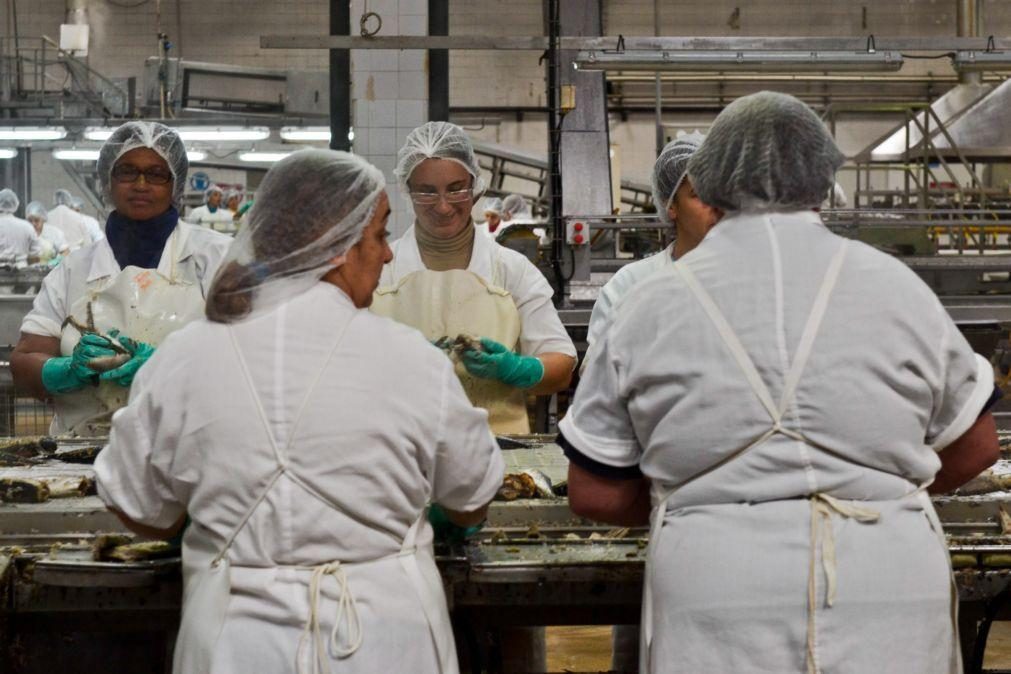Greve na maior conserveira de peixe de Peniche com adesão de 7%