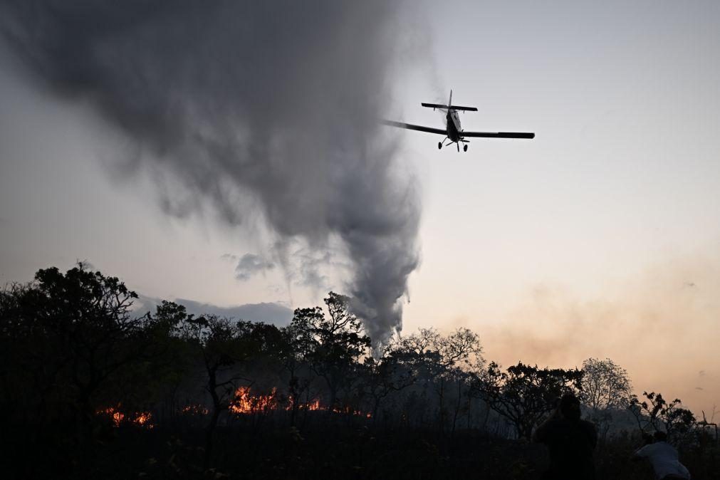 Área devastada pelo fogo recuou 70% entre janeiro e março no Brasil