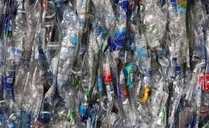 Nível de microplásticos no ambiente pode ser 3 vezes superior em 2060 do que em 2019