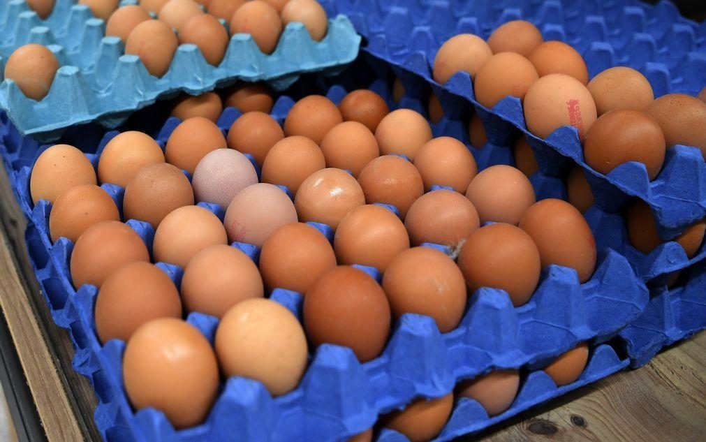Preço dos ovos sobe 6,7% na UE em março e 2,9% em Portugal
