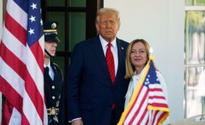 Trump diz estar 