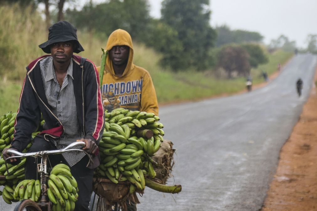 Oxford Economics prevê inflação de 5,3% em Moçambique este ano