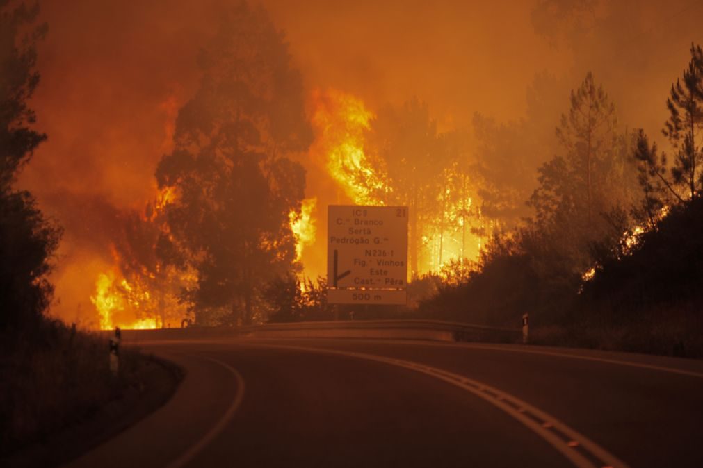 Bombeiros do Porto repudiam que comandante de Pedrógão Grande seja arguido