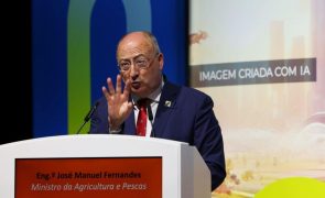 Ministro admite prejuízos na agricultura devido a apagão mas não se compromete com apoios