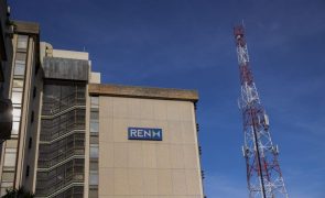 REN quase multiplica lucros por quatro e atinge 14,4 ME até março