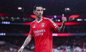 Di María e Carreras titulares no Benfica, Diomande e Hjulmand voltam no Sporting