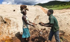 Suspensas cinco mineradoras por crimes ambientais no centro de Moçambique