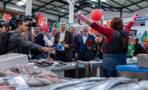 Pedro Nuno diz que vai derrotar sondagens e pede voto dos envergonhados com a AD