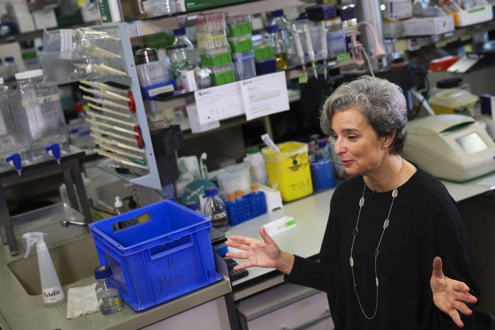 Descoberta de tratamento oral de cancro na Fundação GIMM leva a acordo internacional