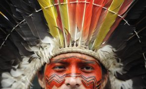 Tribo indígena brasileira Yawanawá distinguida com prémio de arte digital