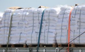 Nove camiões de ajuda humanitária em Gaza é 
