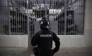 ONG pedem libertação de ativista que apoia venezuelanos detidos em El Salvador